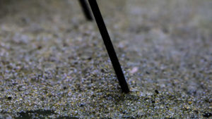 底面フィルターに使用するソイル 砂の掃除の仕方を分かりやすく説明します Aquariumbreedmanual アクアリウムブリードマニュアル