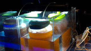ブラインシュリンプを孵化させる実際の方法 皿式 について分かりやすく説明します Aquariumbreedmanual アクアリウムブリードマニュアル